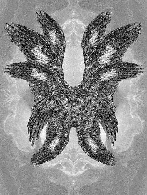 cherub