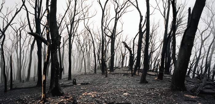 http://www.climateinstitute.org.au/climate-change-science.html